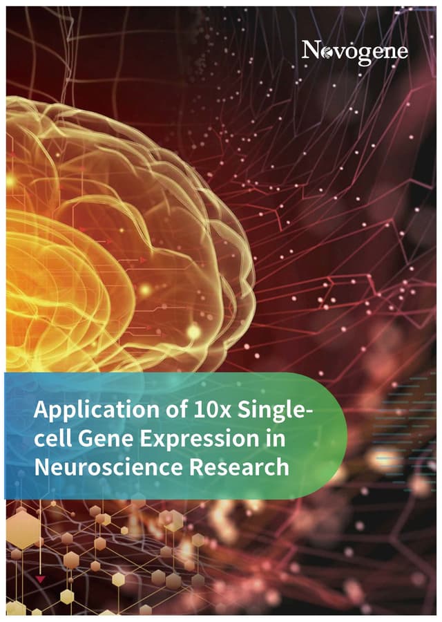 Application of 10x Single-cell Gene Expression in Neuroscience Research