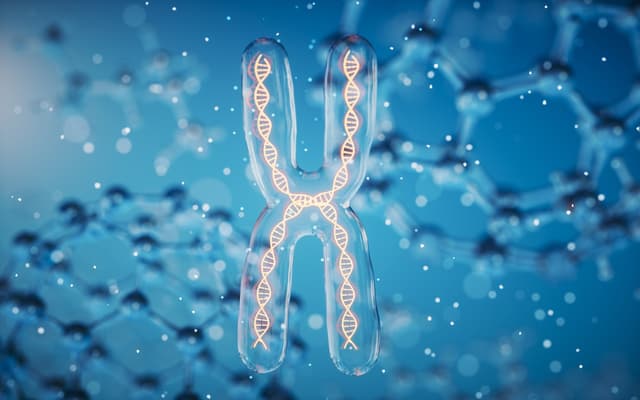 A Beginner’s Guide to ATAC-seq