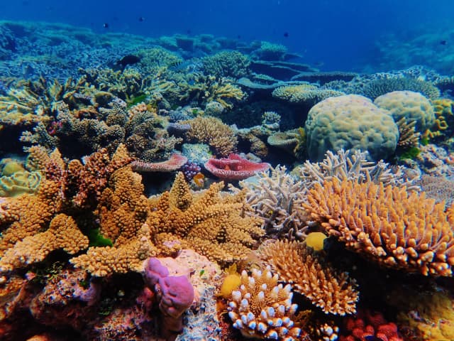 The Evolutionary Role of Microbial Communities: Unveiling the Hidden World of Microbiomes