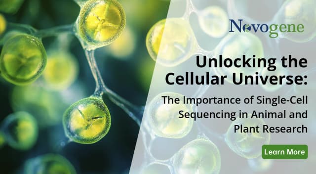 Unlocking the Cellular Universe: The Importance of Single-Cell Sequencing in Animal and Plant Research
