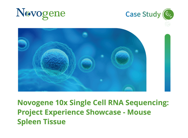 Novogene 10x Single Cell RNA Sequencing: Project Experience Showcase – Mouse Spleen Tissue