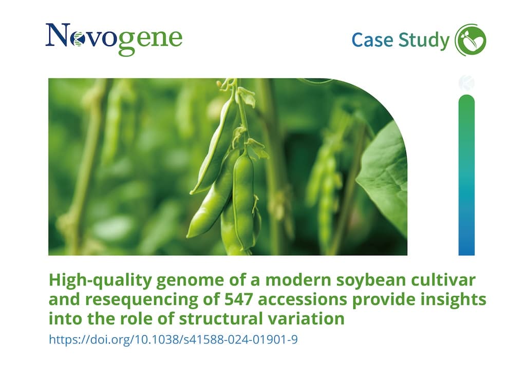 High-quality genome of a modern soybean cultivar and resequencing of 547 accessions provide insights into the role of structural variation