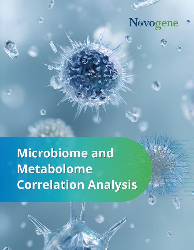 Microbiome and Metabolome Correlation Analysis