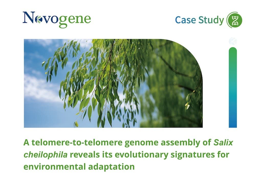 A telomere-to-telomere genome assembly of Salix cheilophila reveals its evolutionary signatures for environmental adaptation