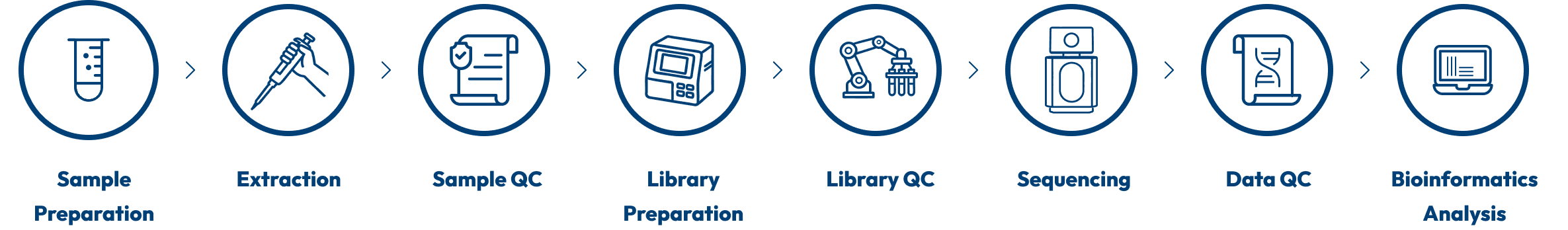 Project Workflow