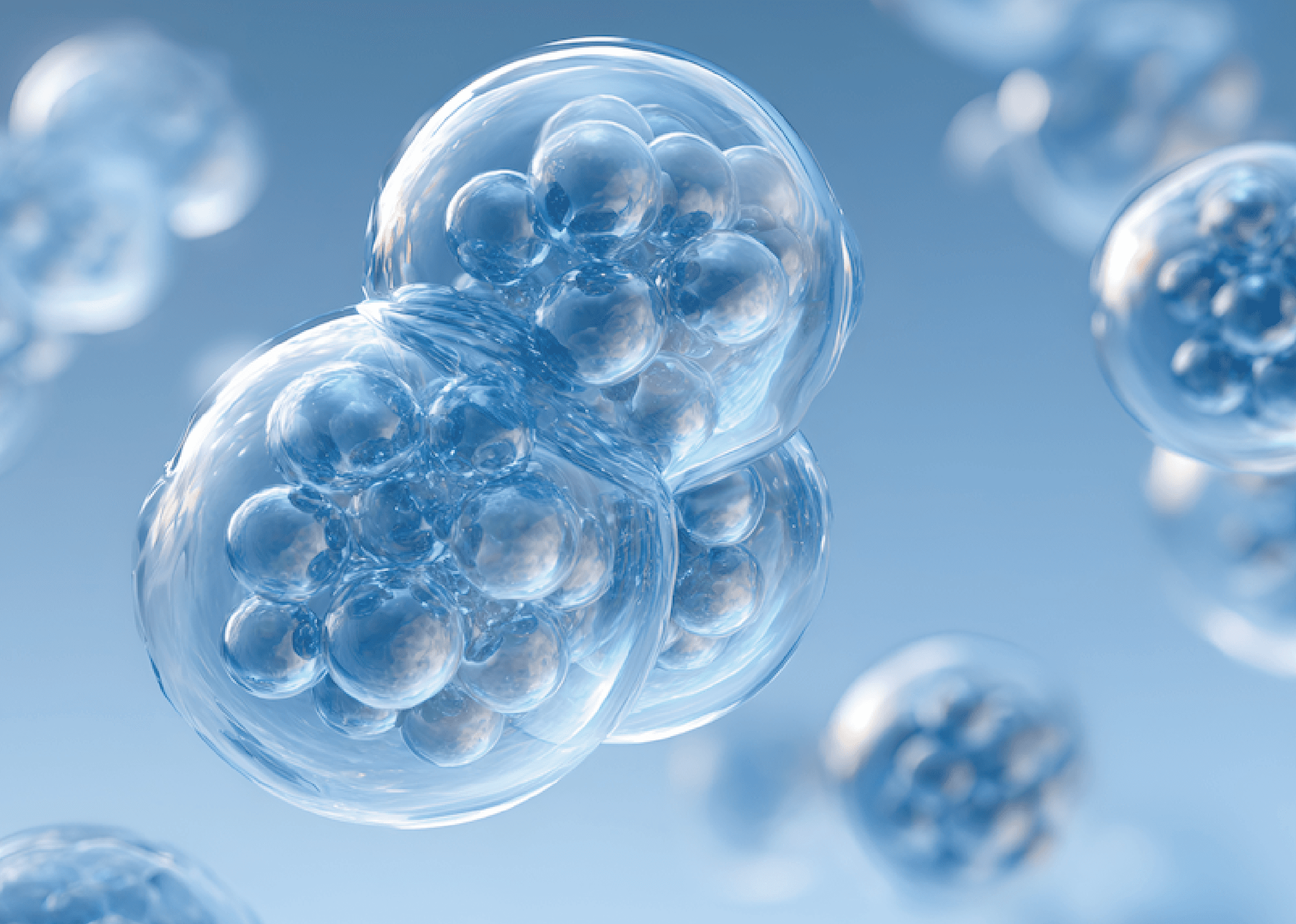 Single-Cell Immune Repertoire Sequencing: Resolving TCR/BCR Clonotypes and Functional States