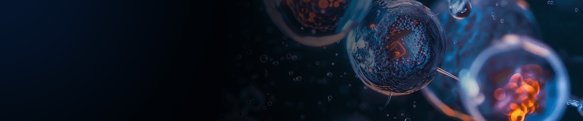 banner laptop bg