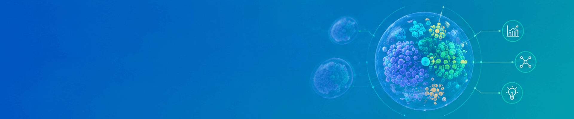 banner laptop bg