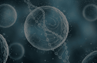 16S/18S/ITS Amplicon Metagenomic Sequencing