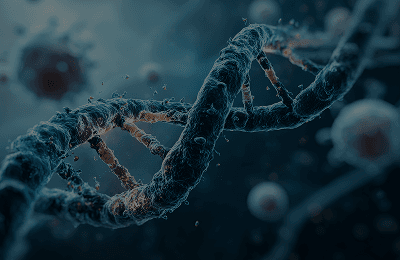 Animal and Plant Whole Genome Sequencing