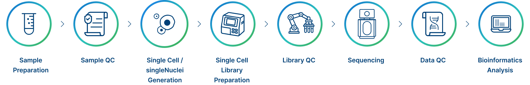 Project Workflow for scRNA-seq