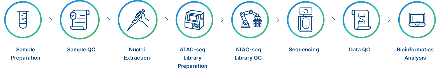 Project Workflow of Novogene ATAC-seq Service