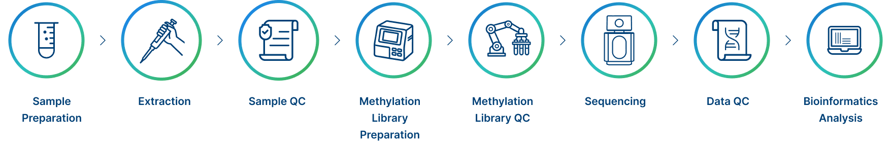 Project Workflow of Novogene enzymatic methylation sequencing Service