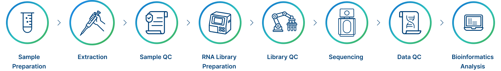 Novogene Workflow of Metatranscriptome Sequencing Service