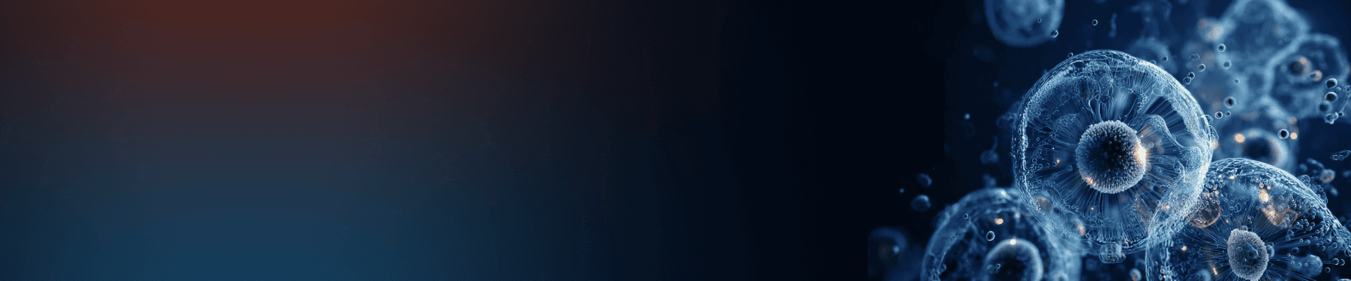 banner laptop bg