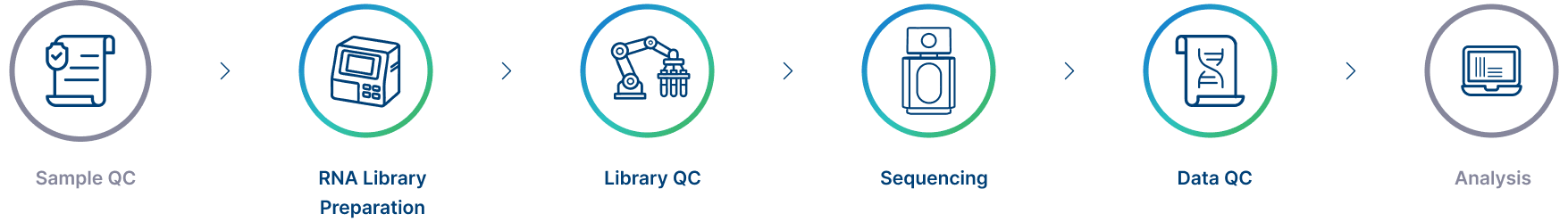 Project Workflow