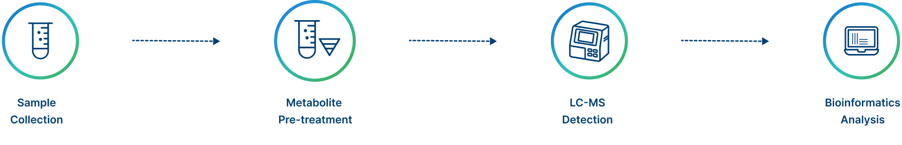 Project Workflow of Novogene Untargeted Metabolomics Services